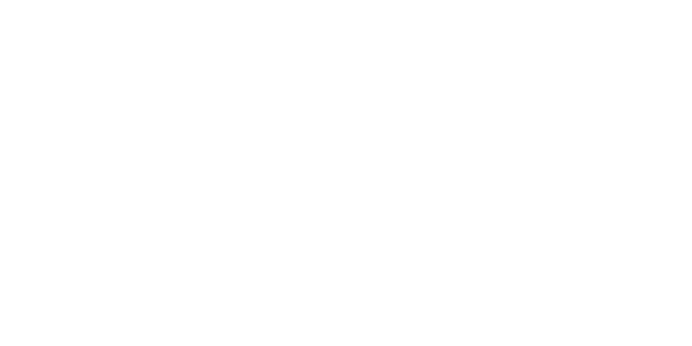 Fereastra ECU